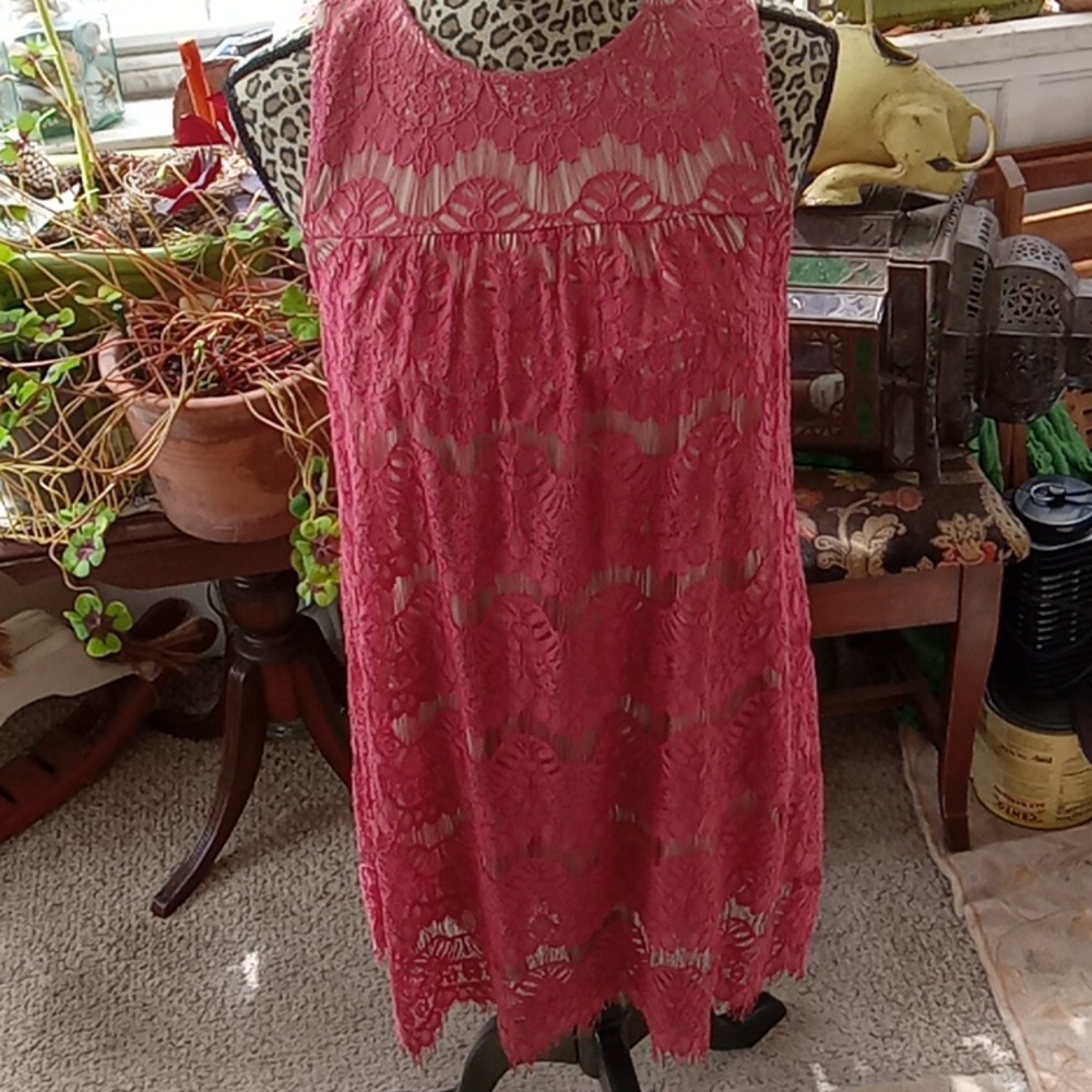 NWT Cut Away shoulder,Lace Dress,Lined Sz M
